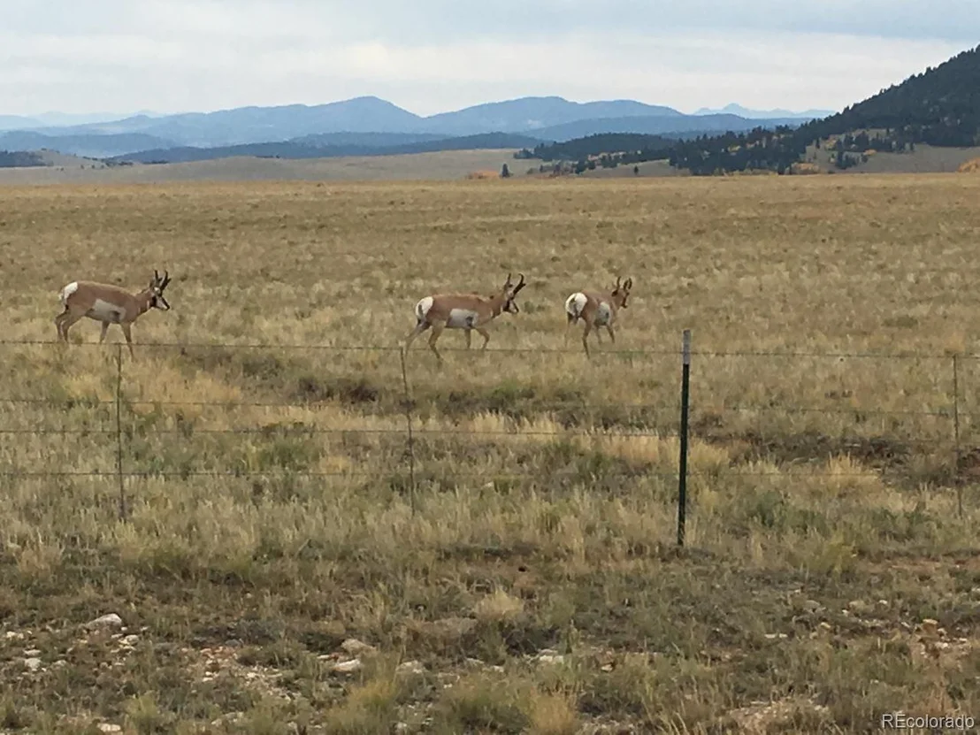 Photo of 2000 Co Road 5