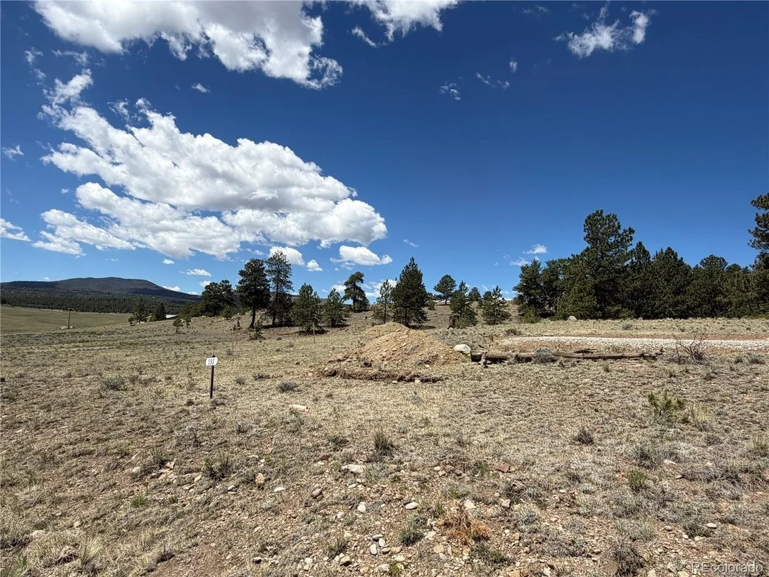 Photo of 595 Bridle Path