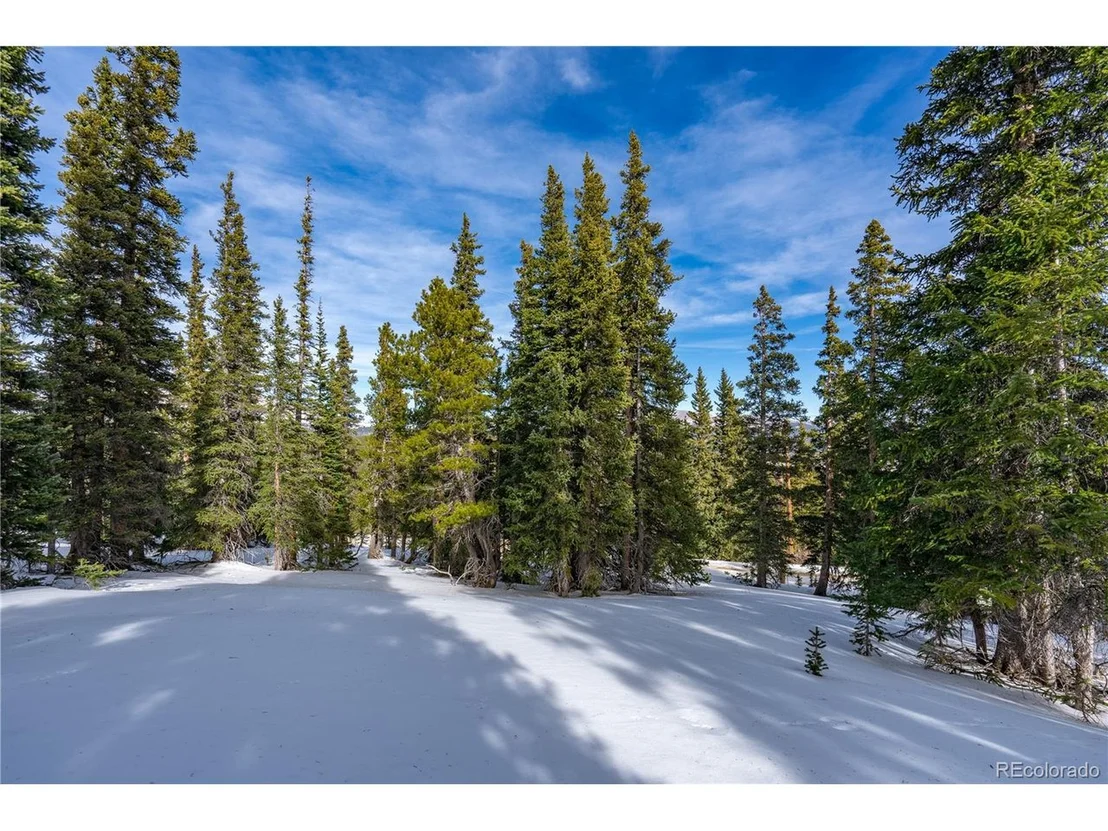 Photo of 503 Silverheels Pl