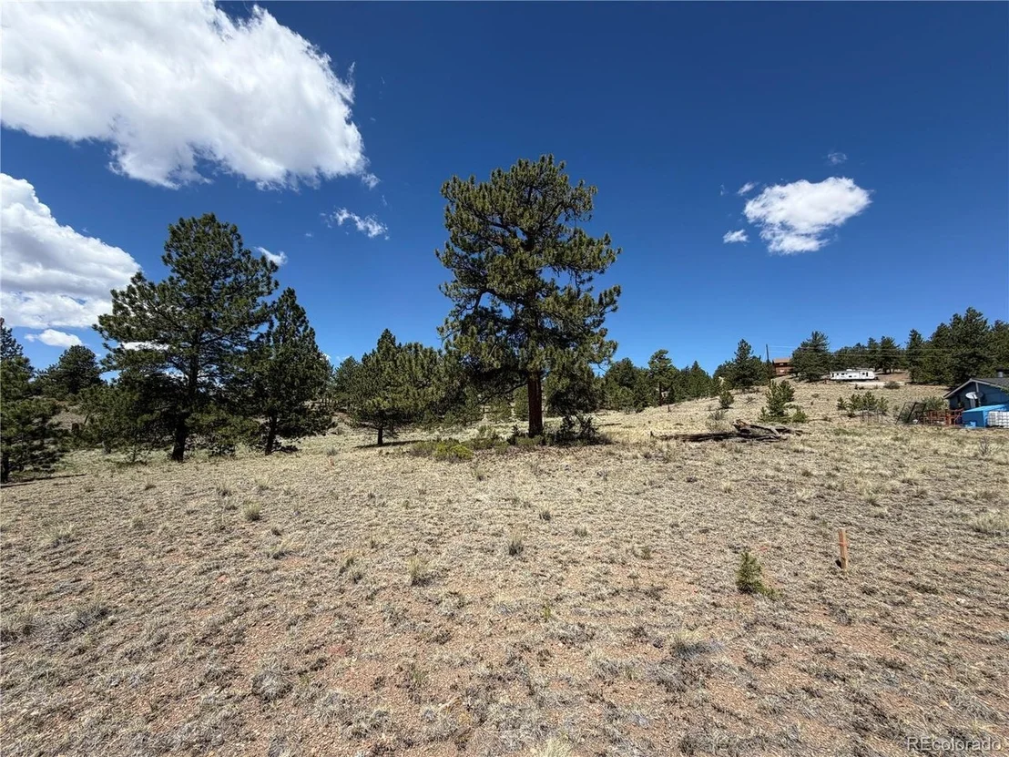 Photo of 595 Bridle Path