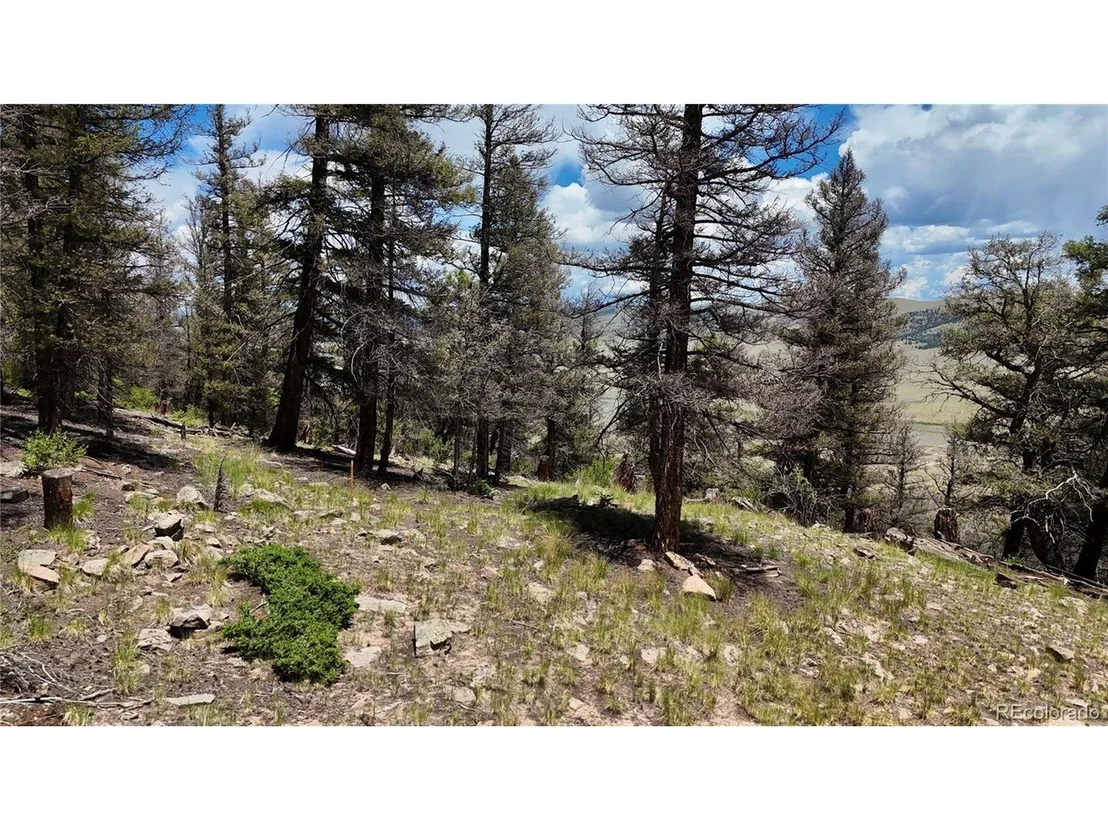 Photo of 1348 Middle Fork Vis