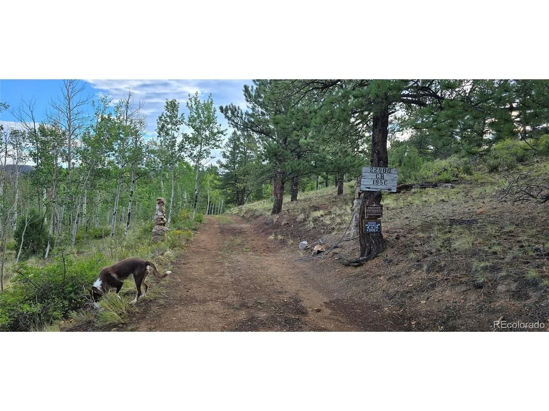 Photo of 22800 County Road 185 C