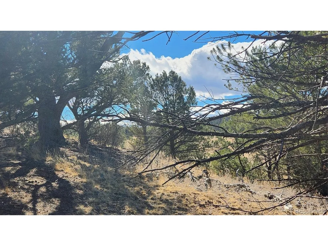 Photo of 311 Kit Carson Trl