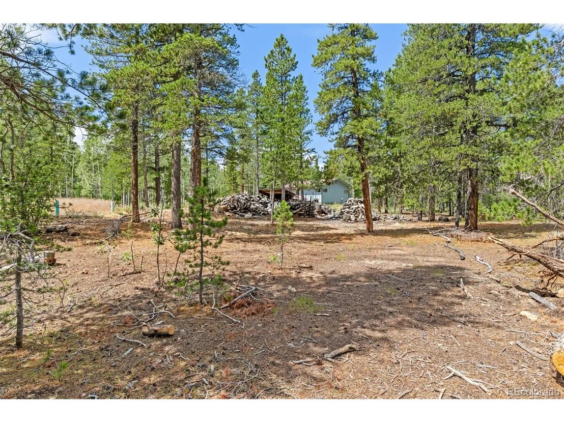 Photo of 20 Paint Brush Dr