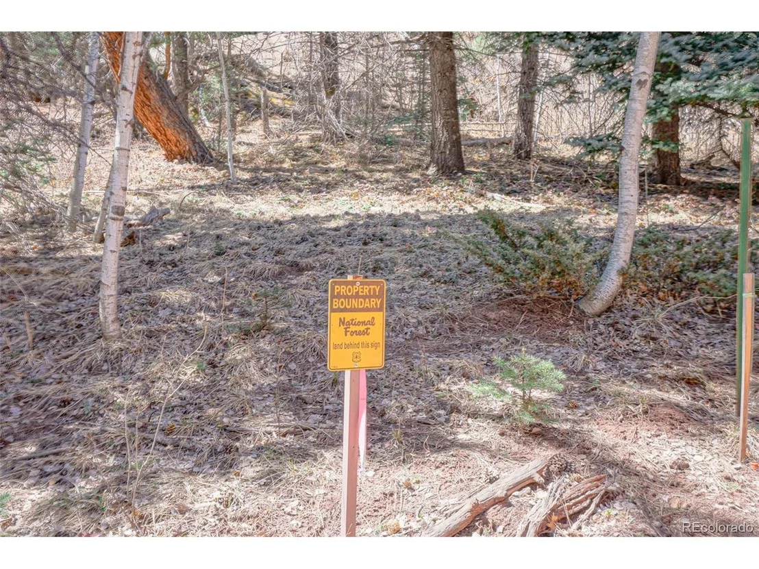 Photo of 31 Black Bear Road