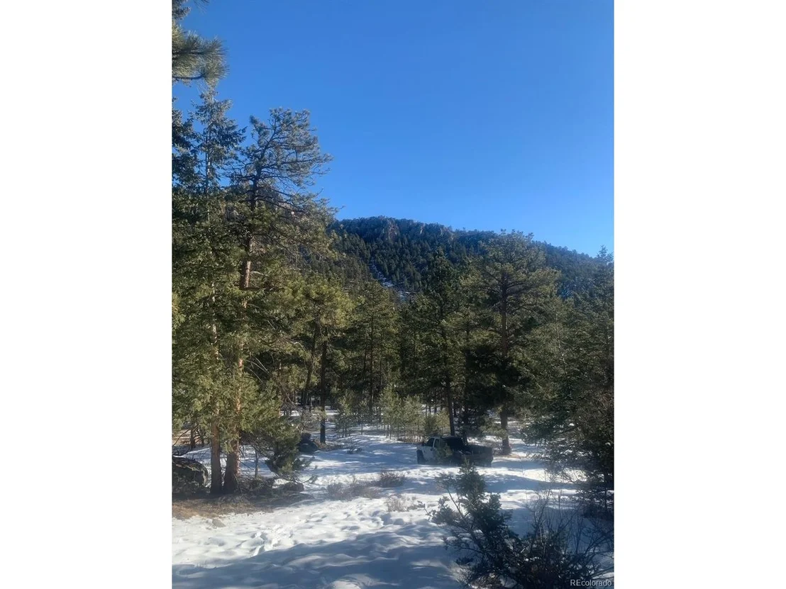 Photo of Cedar Dr