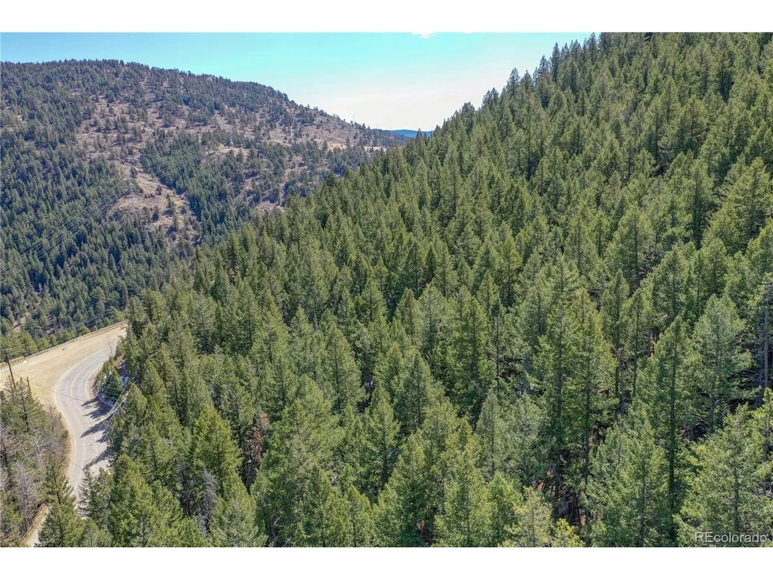 Photo of 0 Saddleback