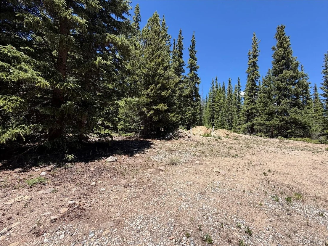 Photo of 339 Silverheels Pl
