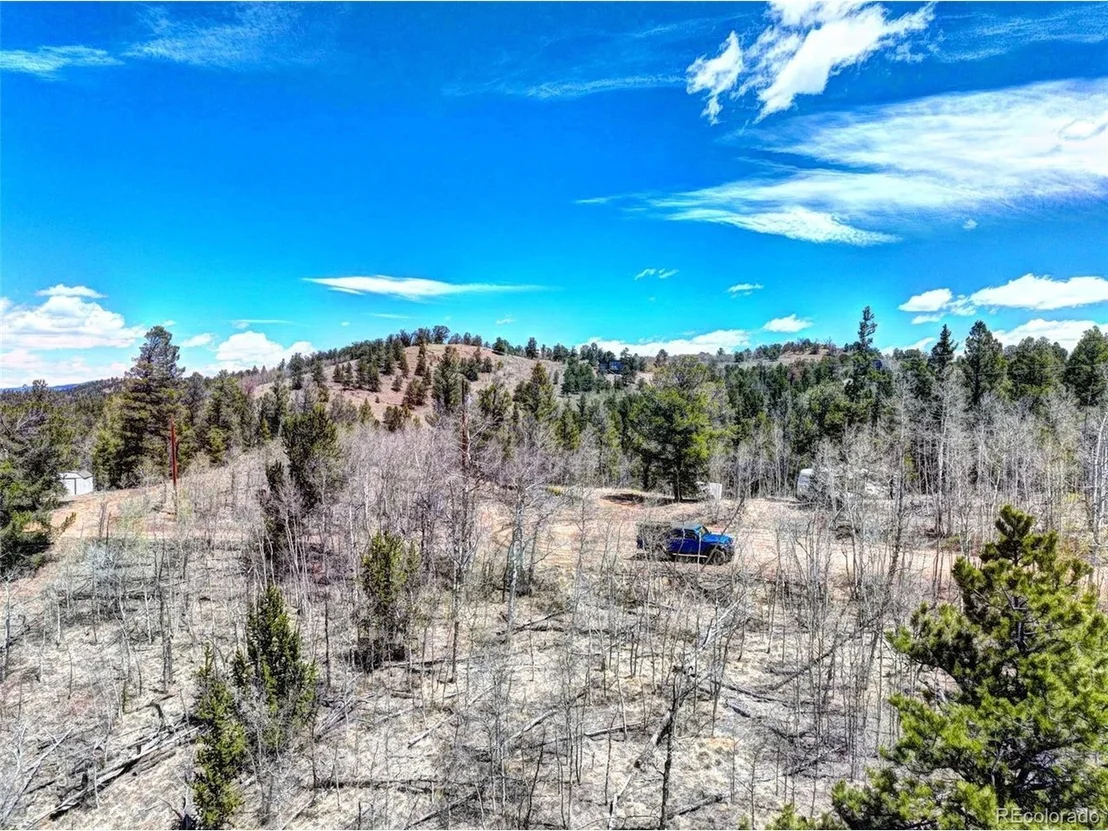 Photo of 194 Bufflehead Cir