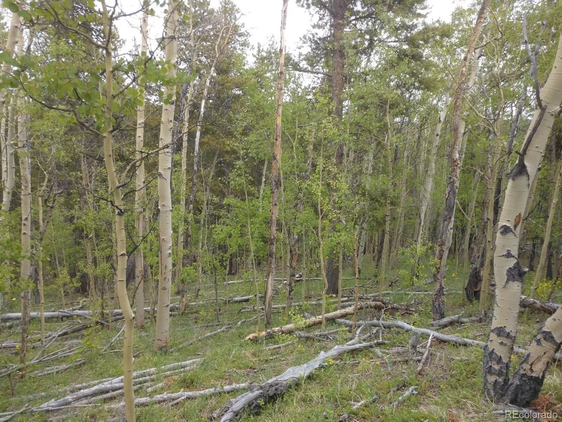 Photo of 317 Ski Doo Rd