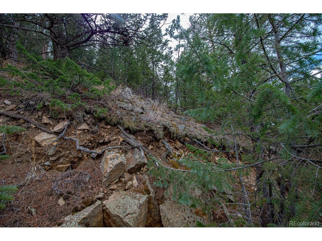 Photo of 123 Divide View Dr