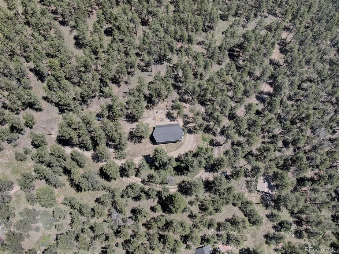 Photo of 29577 Larkspur