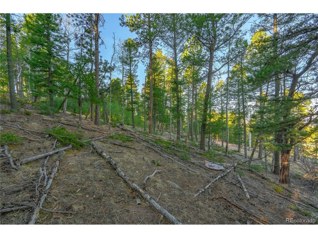Photo of 88 Malmsey Ln