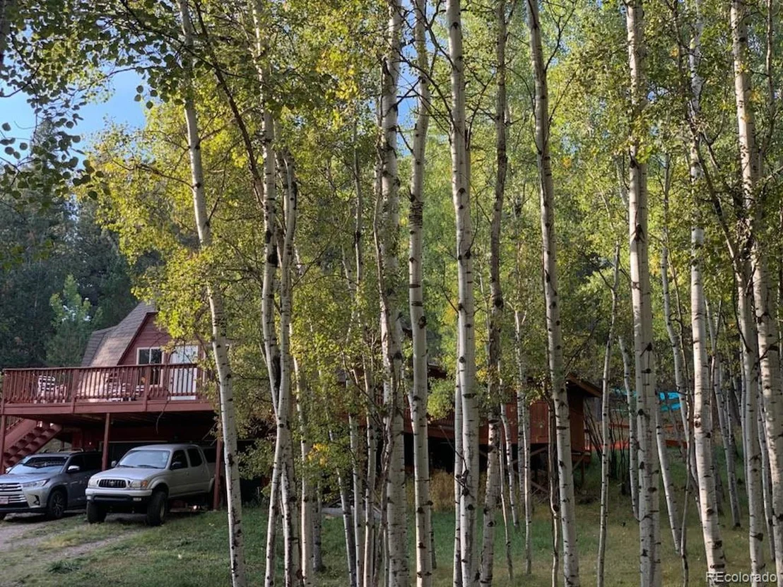 Photo of 116 Bluebird Dr