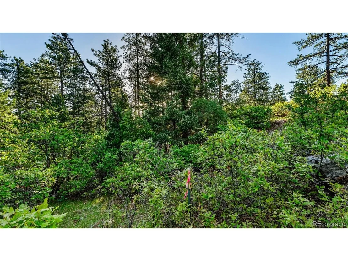 Photo of 8125 Bannock Dr