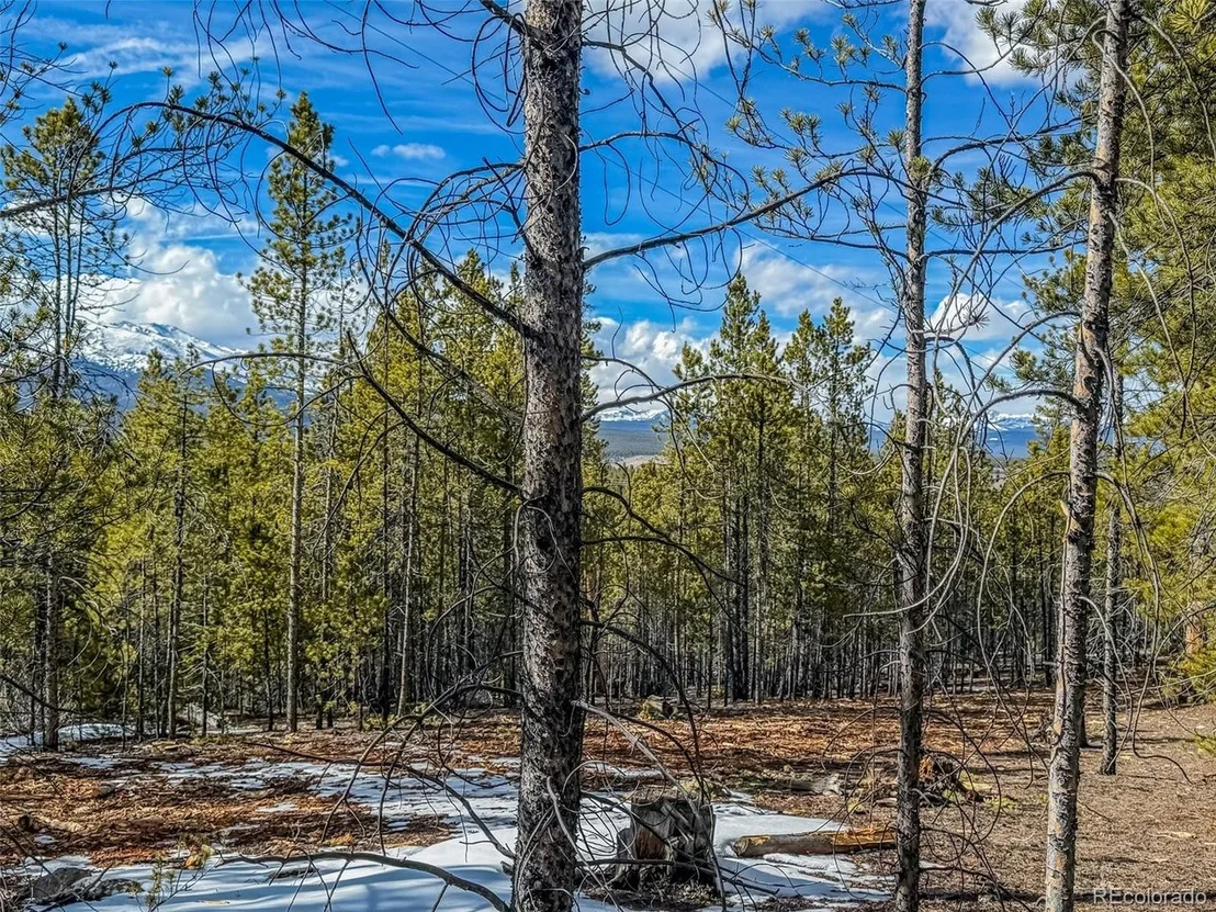 Photo of 483 Mt Massive Rd