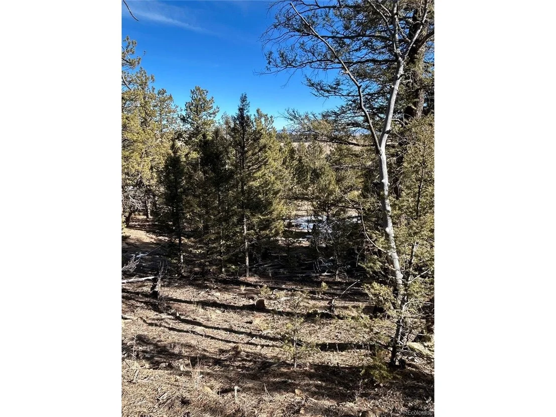 Photo of 4376 Campfire Rd