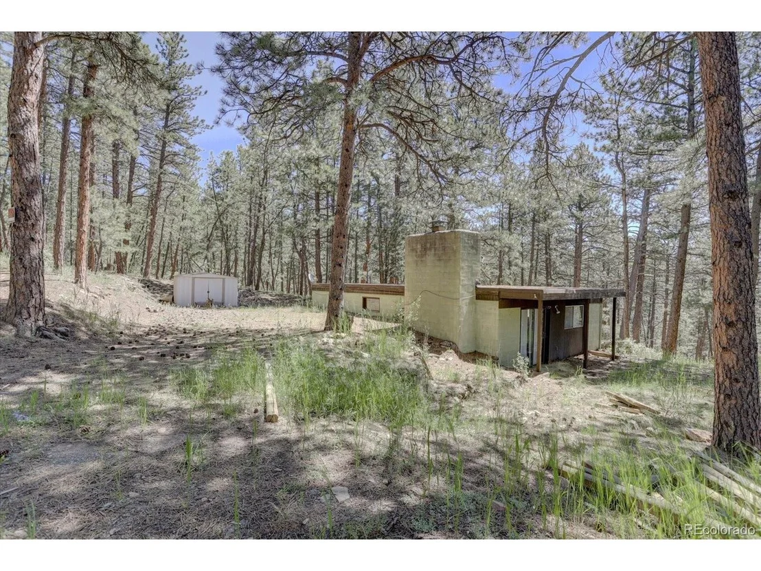 Photo of 29577 Larkspur