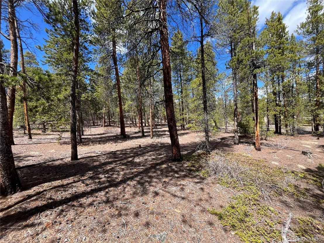 Photo of 1013 Sequoia Dr