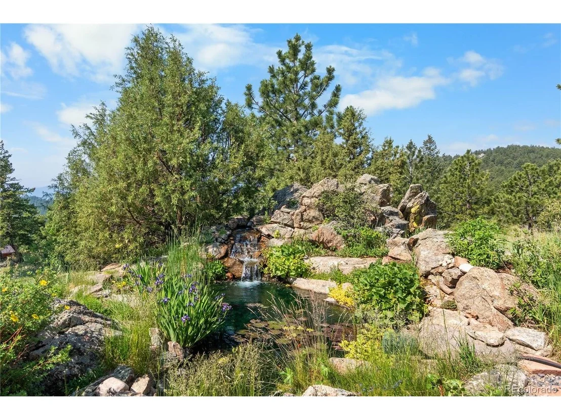 Photo of 3935 Douglas Mountain Dr
