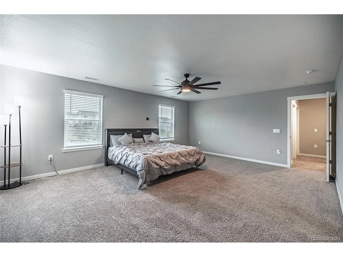 Photo of 17308 Red Cosmos Pt