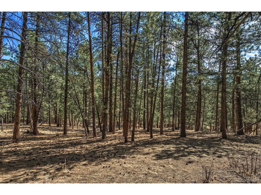Photo of 27444 Pine Valley Dr