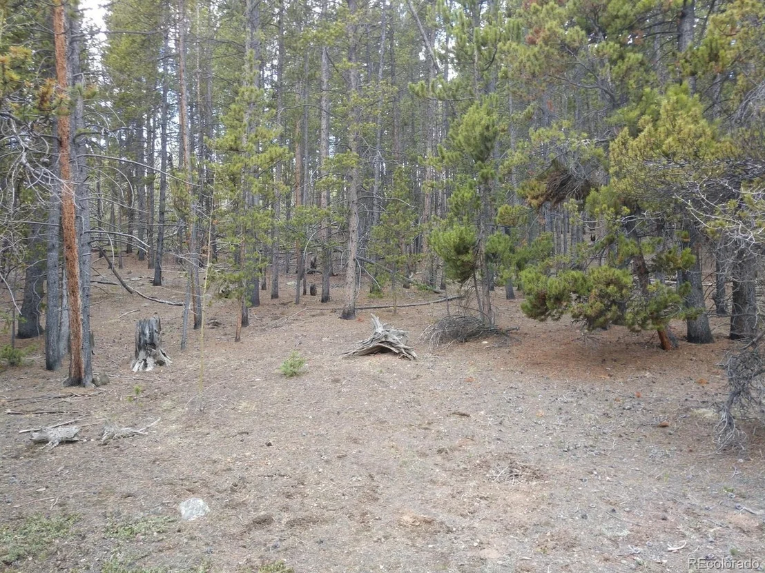 Photo of 317 Ski Doo Rd