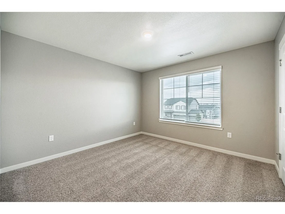 Photo of 17308 Red Cosmos Pt