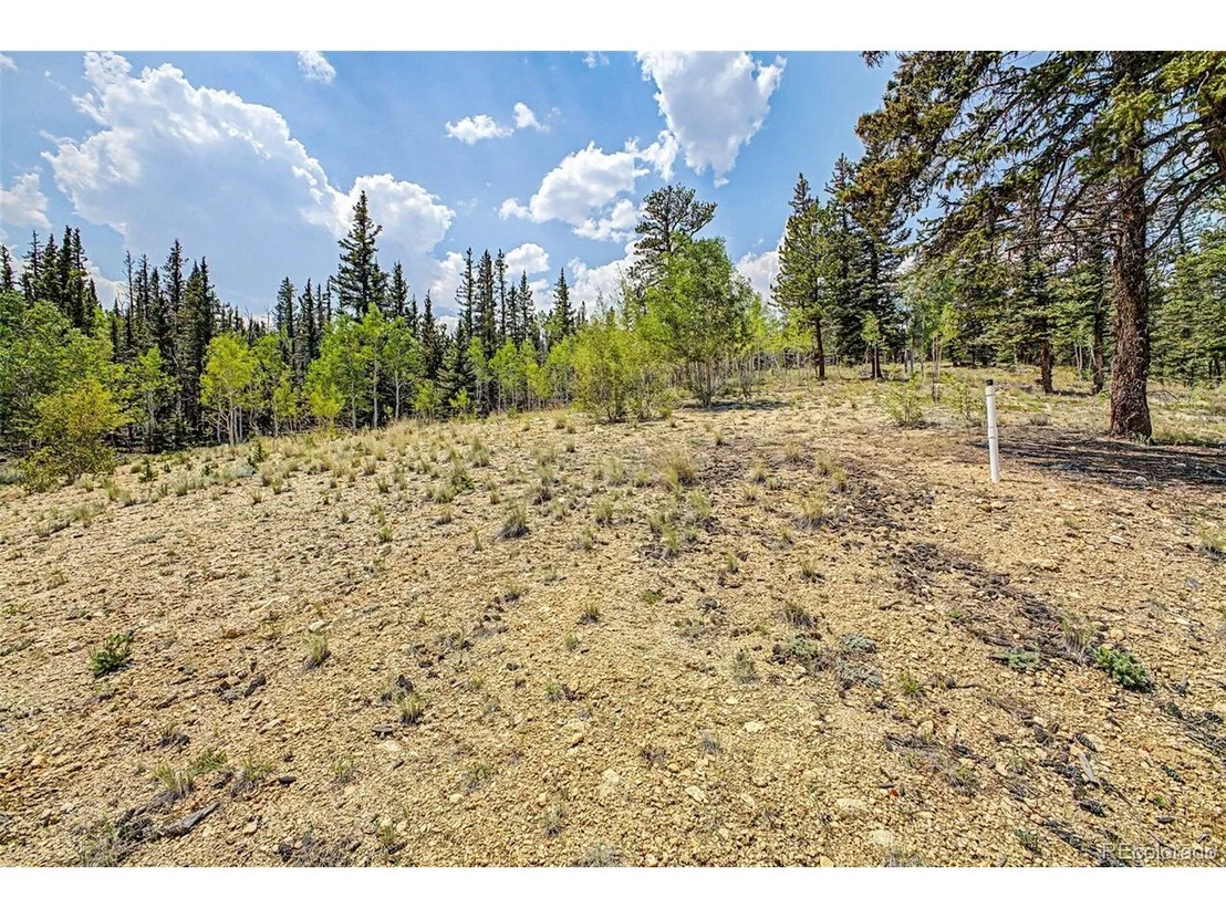Photo of 360 Palomino Dr