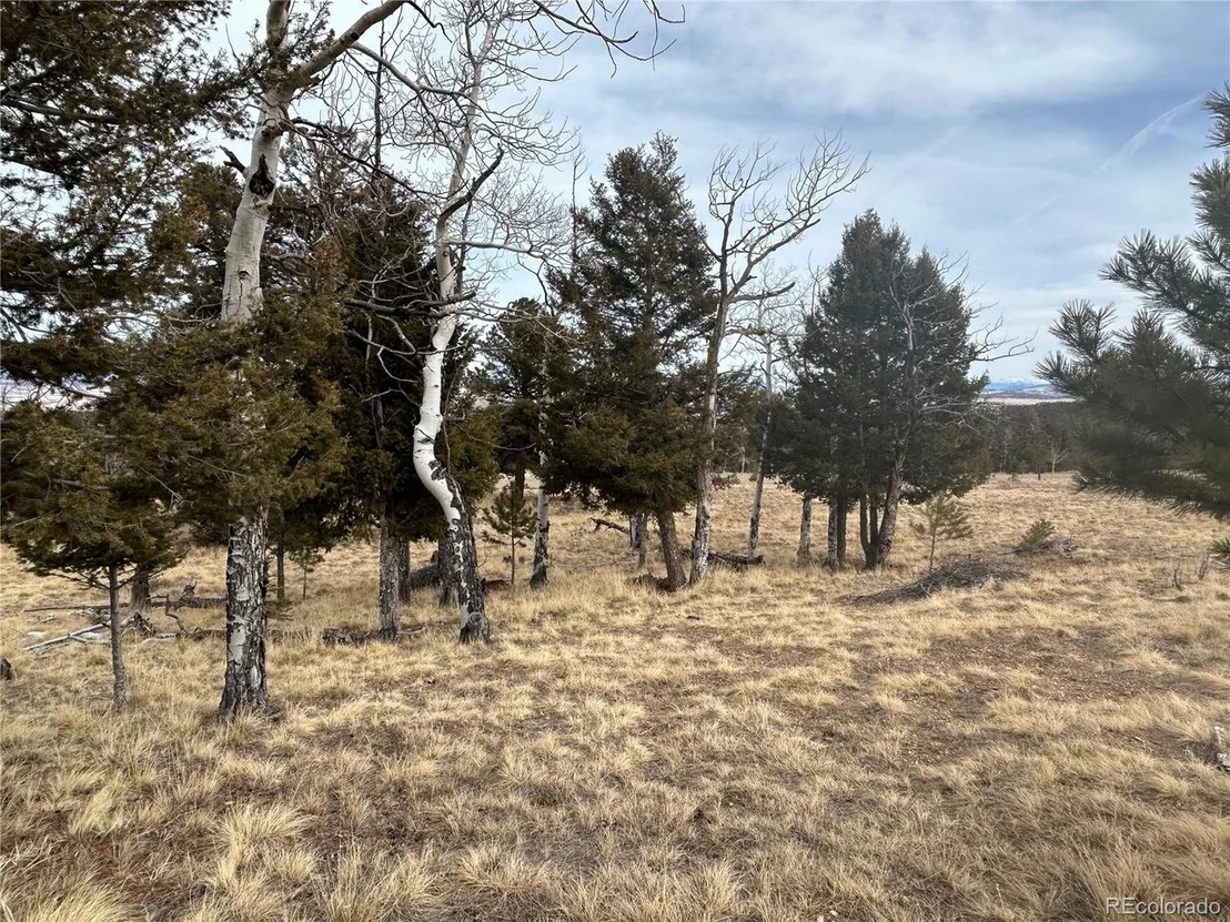 Photo of 1421 Pitchfork Rd