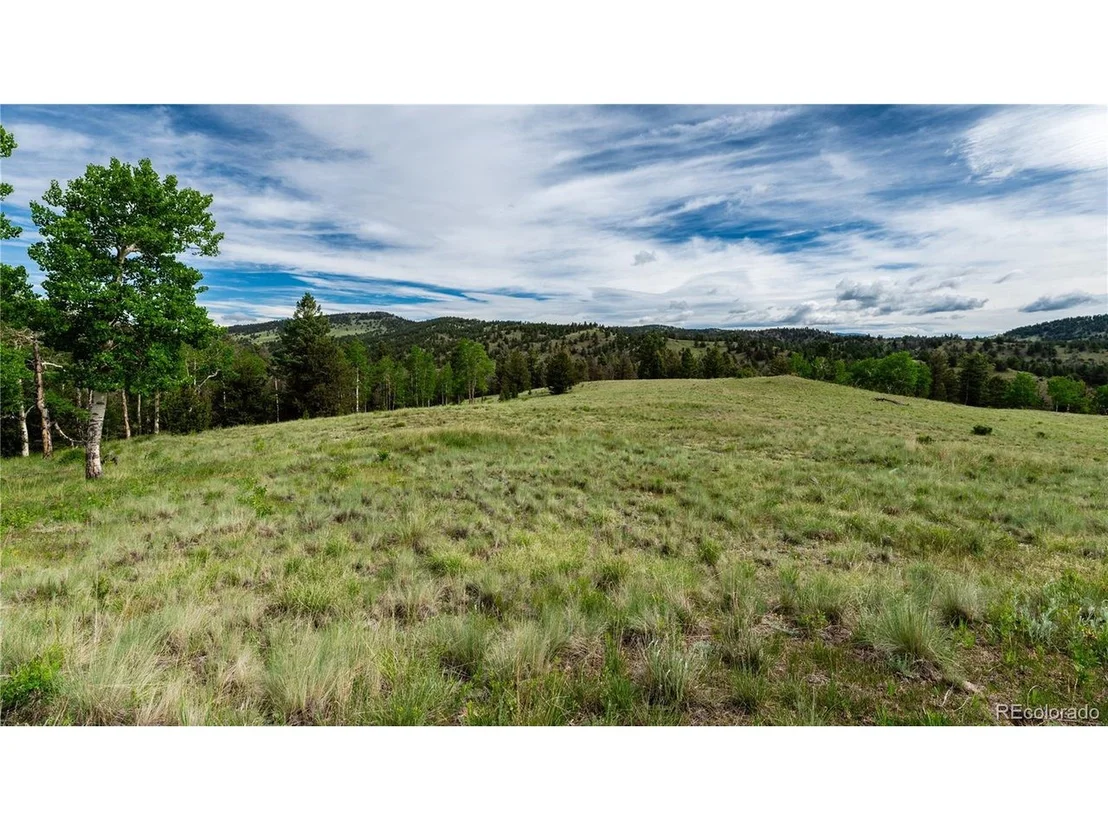 Photo of 5 Elk Height Ln