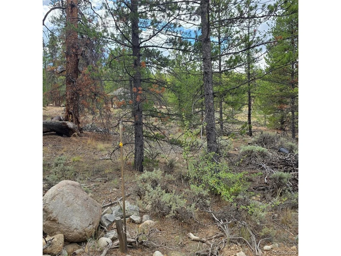 Photo of 28 Juniper Dr