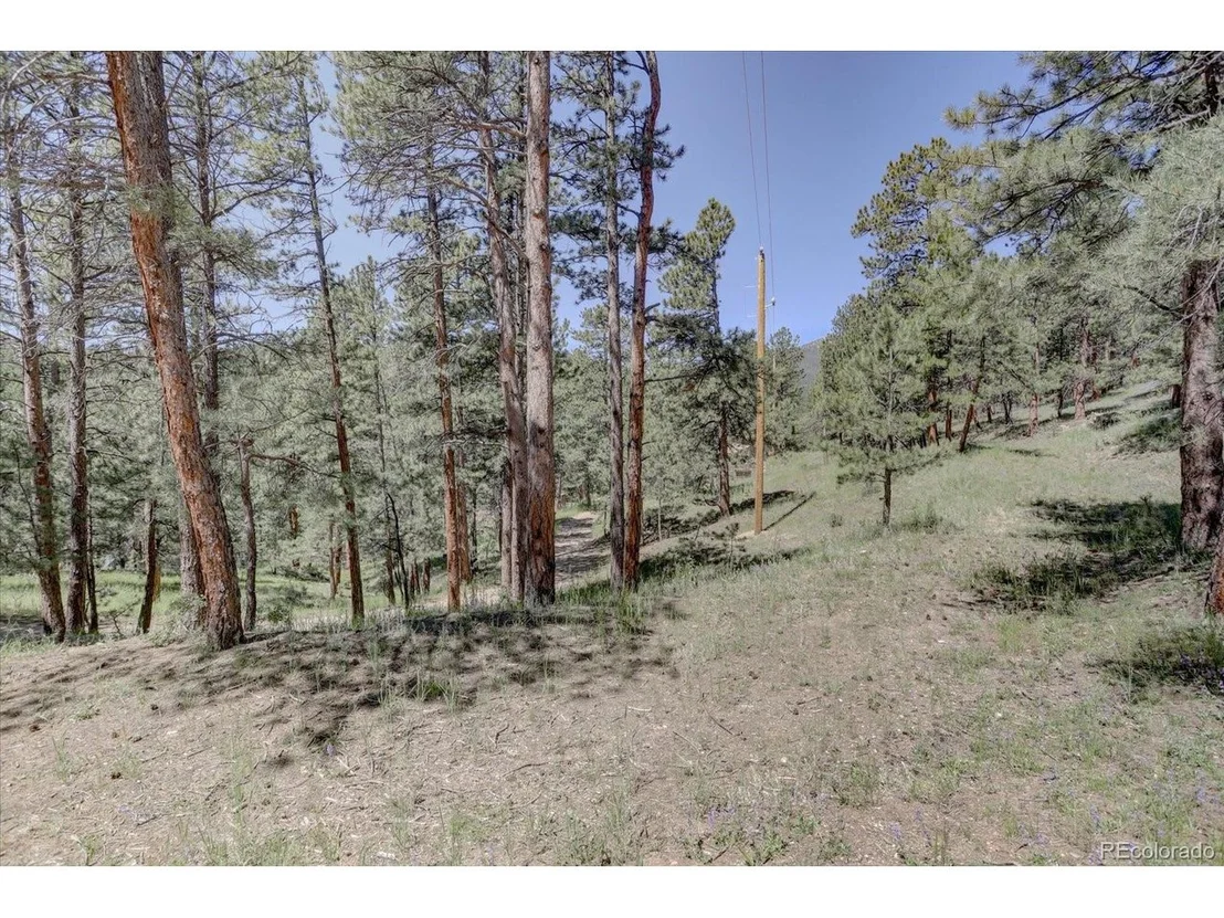 Photo of 29577 Larkspur
