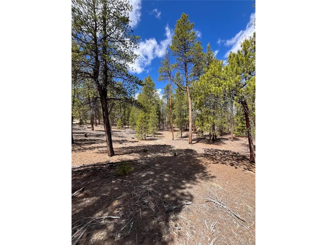 Photo of 1013 Sequoia Dr