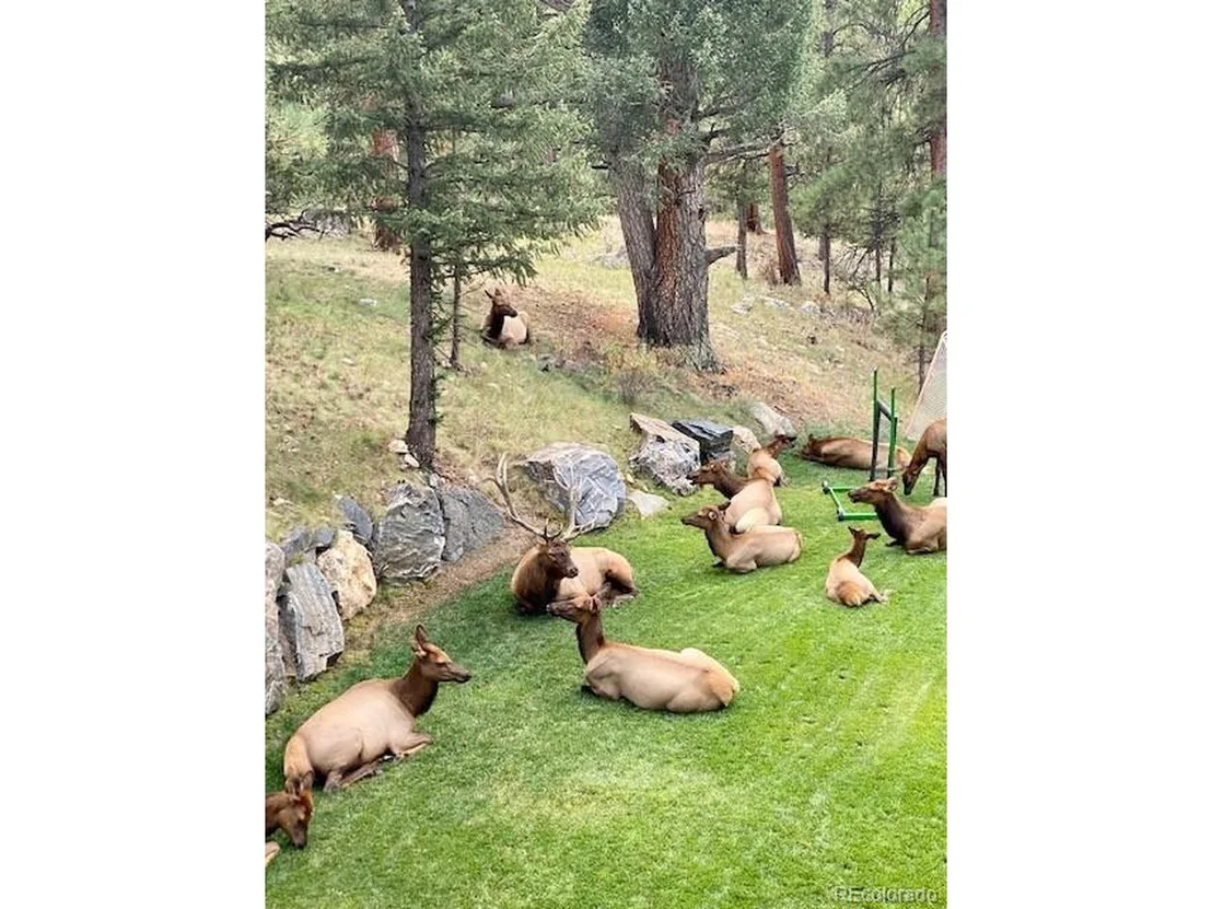 Photo of 2667 Keystone Dr