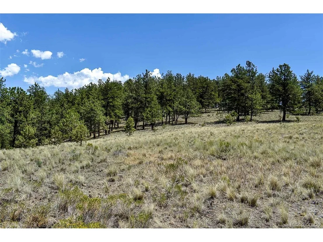 Photo of 4278 County Road 71