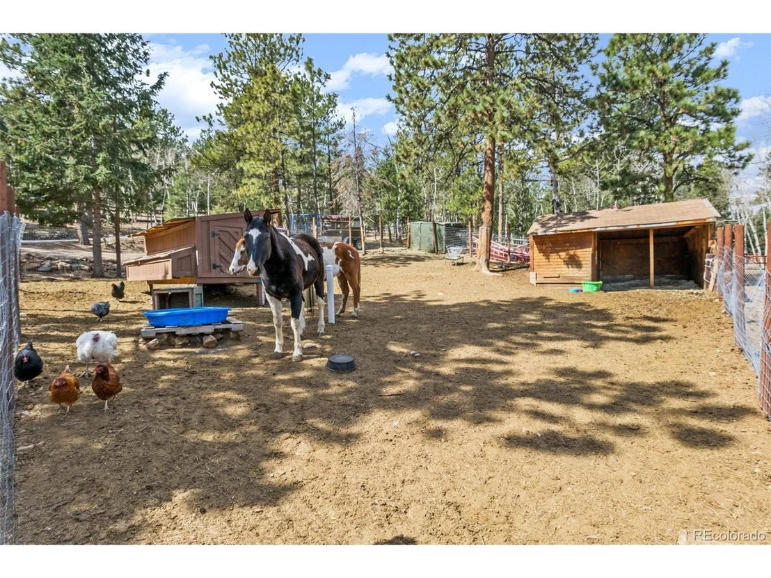 Photo of 1327 Bluebird Dr
