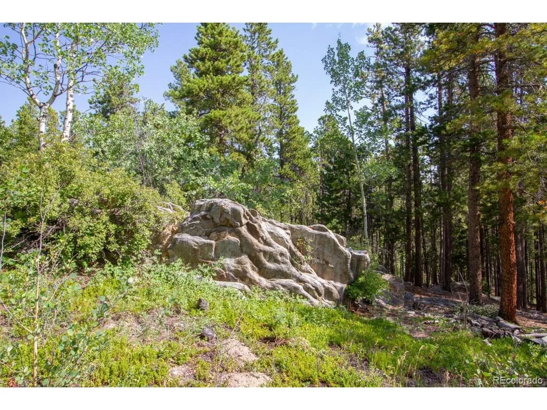 Photo of 6331 Bear Paw Rd