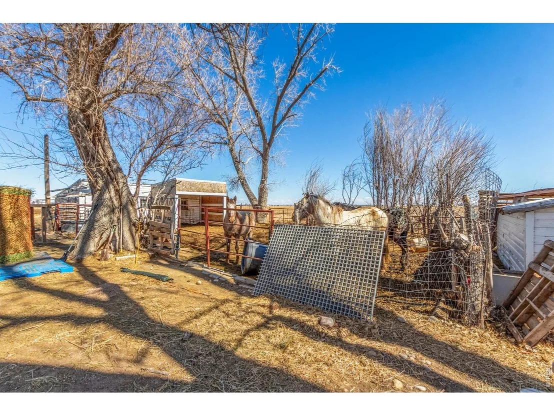 Photo of 16524 County Road 3