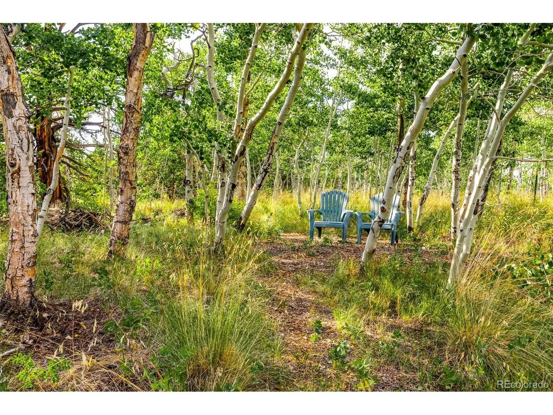 Photo of 210 Pine Ridge Rd