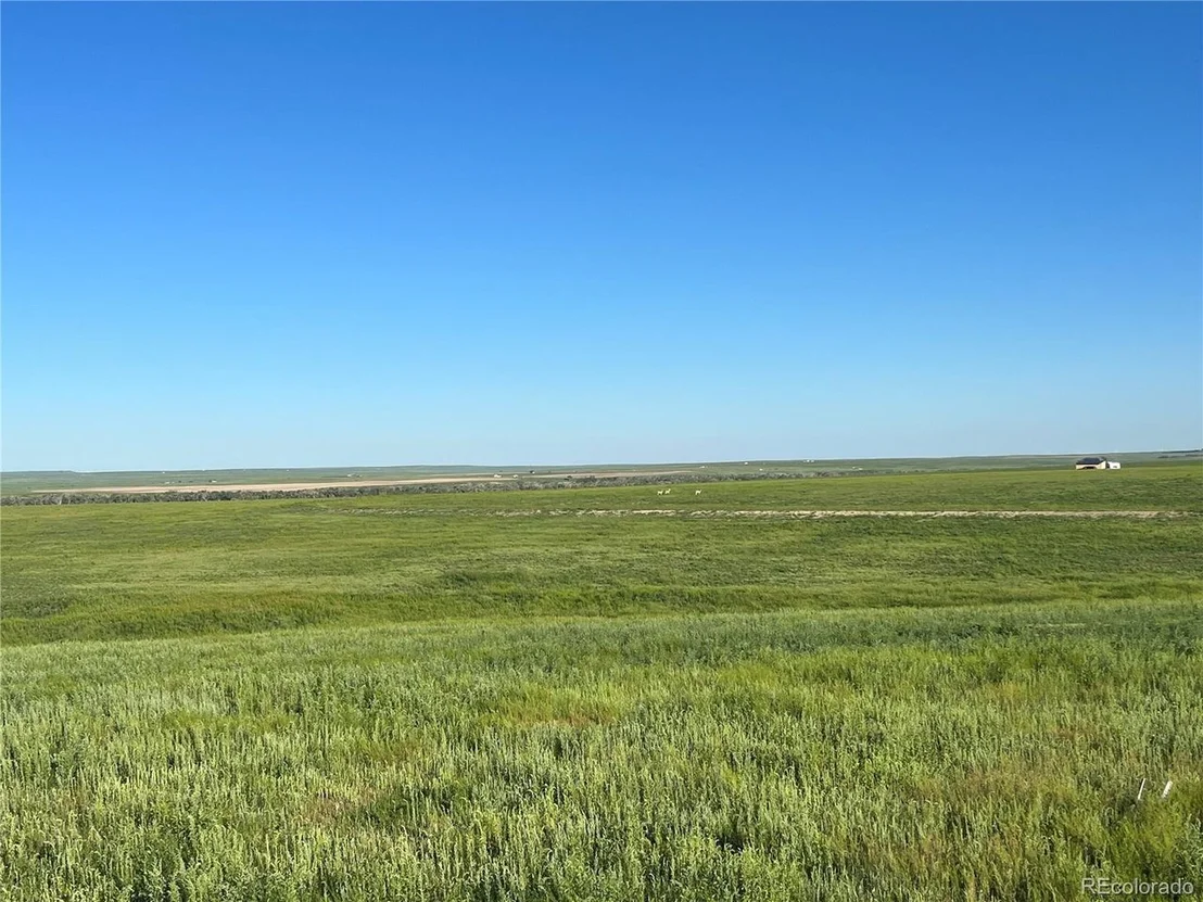Photo of 35520 County Road 160