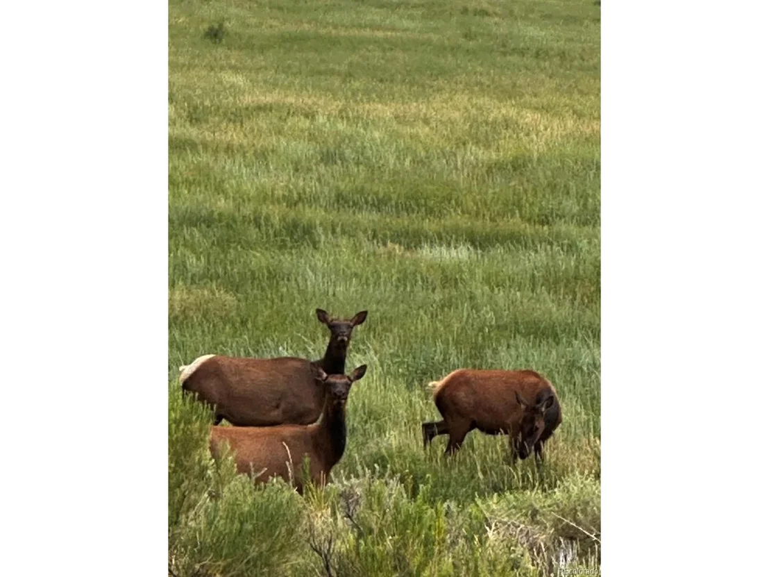 Photo of 640 County Rd 571
