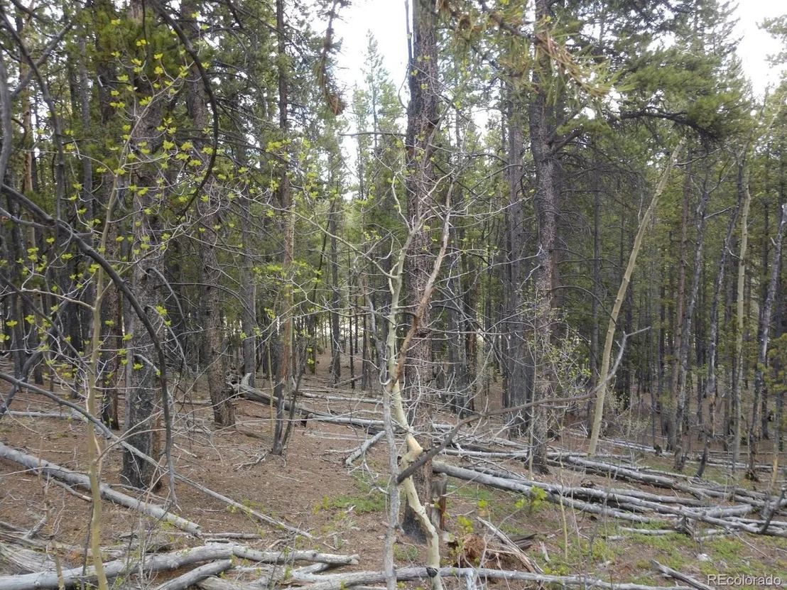 Photo of 317 Ski Doo Rd