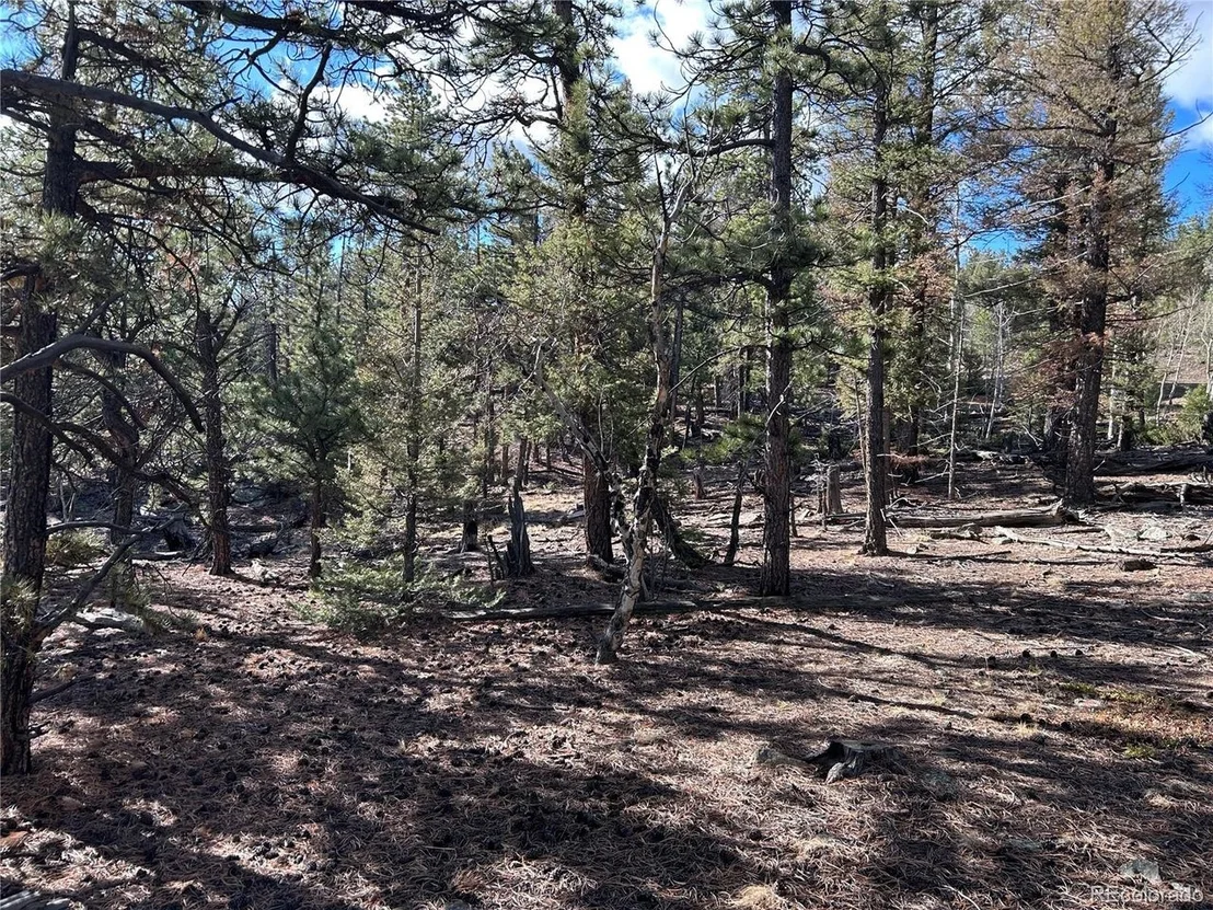 Photo of 1581 Bellows Rd