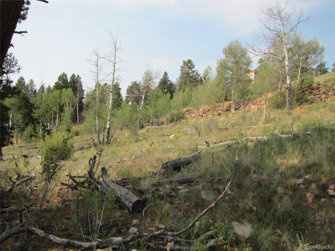 Photo of 525 Middle Fork Vis