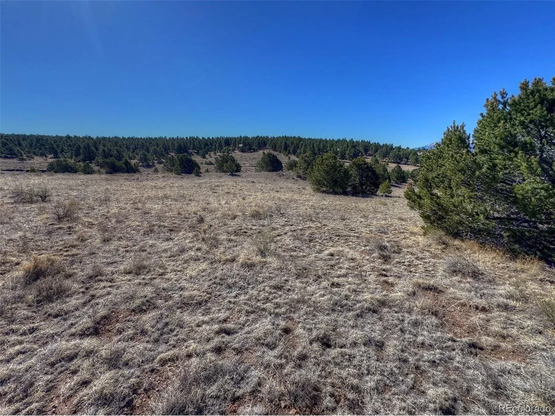 Photo of 885 Crow Rd