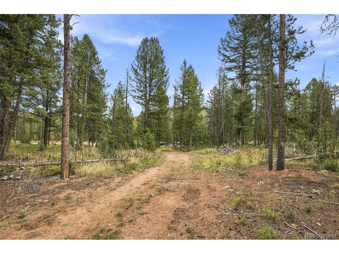 Photo of 27687 Pine Grove Trl
