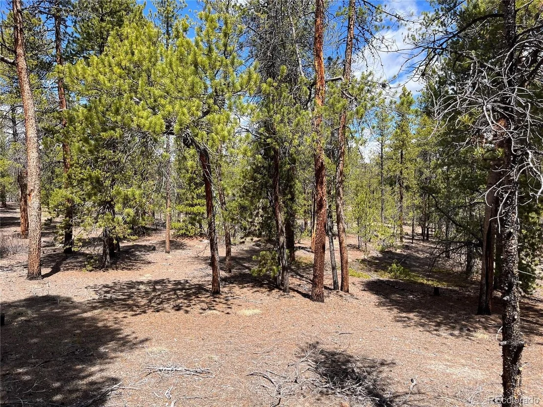 Photo of 1013 Sequoia Dr