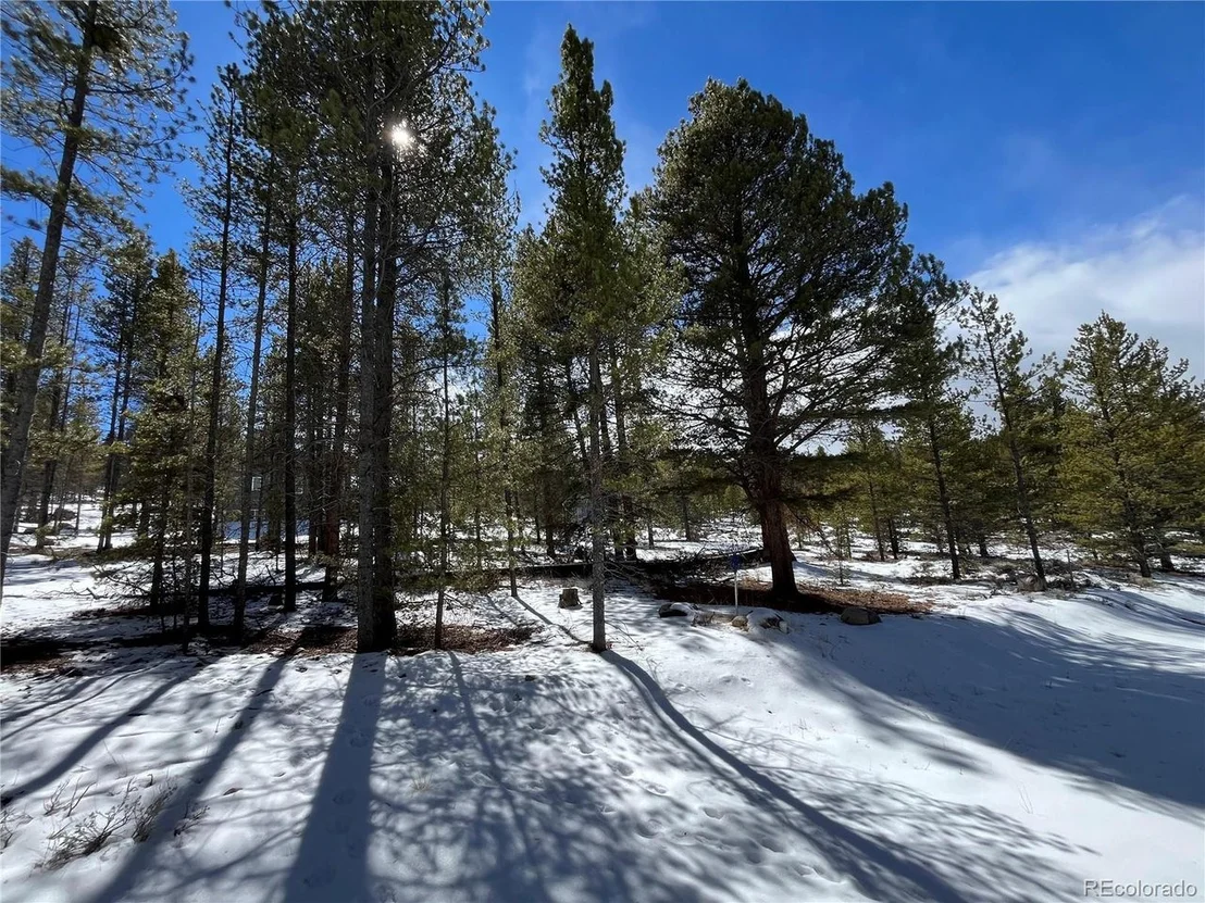Photo of 28 Juniper Dr