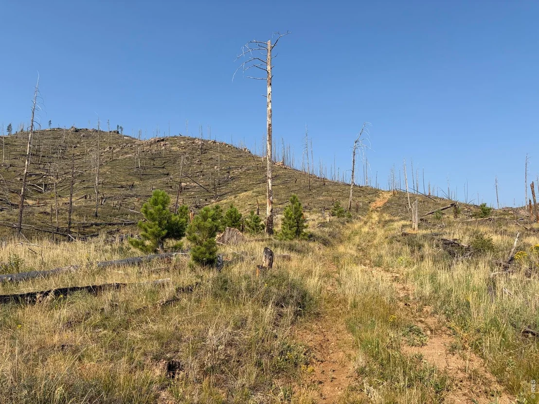 Photo of 0 Pine Acres Rd